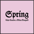 the album cover for Teho Teardo - Spring