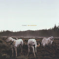 the album cover for Foxing - The Albatross