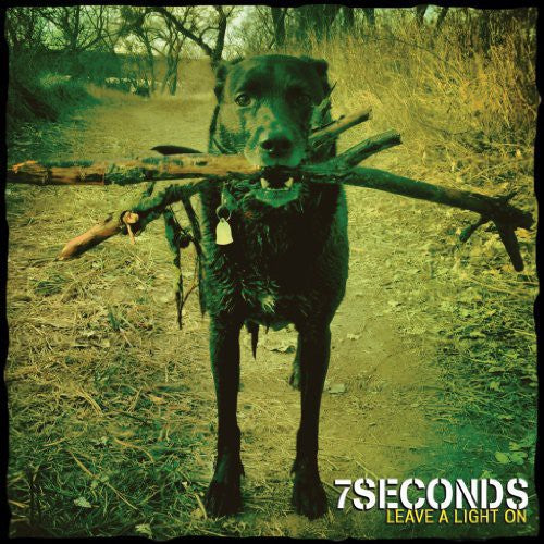 the album cover for 7seconds - Leave a Light on [LP]
