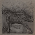 the album cover for Ambarchi / Omalley / Dunn - Shade Themes from Kairos