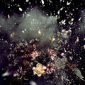 the album cover for Roll The Dice - Until Silence