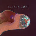the album cover for Answer Code Request - Code