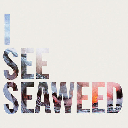 the album cover for Drones - I See Seaweed