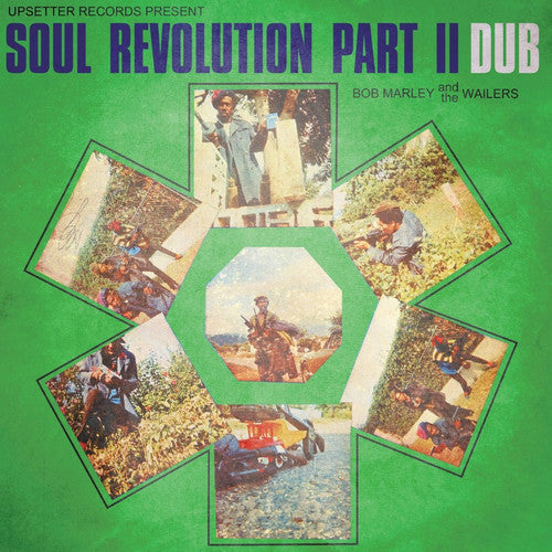 the album cover for Bob Marley - Soul Revolution II Dub