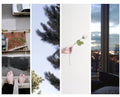 the album cover for Counterparts - Difference Between Hell & Home