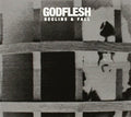 the album cover for Godflesh - Decline & Fall