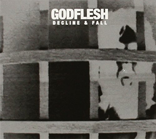 the album cover for Godflesh - Decline & Fall