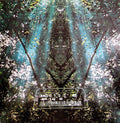 the album cover for Ariel Kalma - Osmose