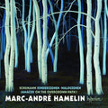the album cover for Schumann / Hamelin - Kinderszenen Waldszenen