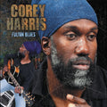 the album cover for Corey Harris - Fulton Blues