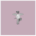 the album cover for Say Hi - Endless Wonder