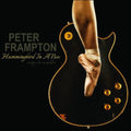 the album cover for Peter Frampton - Hummingbird in a Box