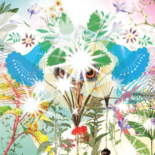 the album cover for Ooioo - Gamel