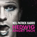 the album cover for Various Artists - Hedwig And The Angry Inch: Original Broadway Cast Recording 2014