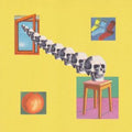the album cover for Skygreen Leopards - Family Crimes