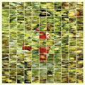 the album cover for Dalhous - Will to Be Well