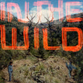 the album cover for FaltyDL - In The Wild [2LP]
