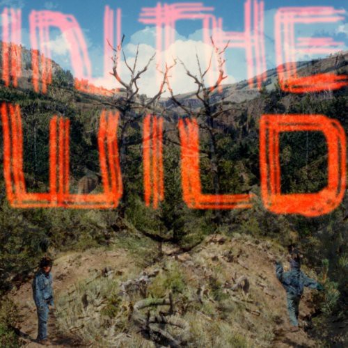 the album cover for FaltyDL - In The Wild [2LP]