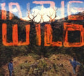 the album cover for FaltyDL - In the Wild