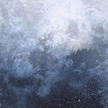 the album cover for Wolves In The Throne Room - Celestite