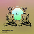 the album cover for Anja Schneider - Dubmission