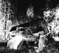 the album cover for Nihill - Grond