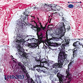 the album cover for Paroni Paakkunainen - Plasticmaailma