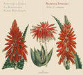 the album cover for Strozzi / Galli / Bonizzoni - Arias & Cantatas Op. 8