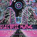 the album cover for Electric Wurms - Musik Die Schwer Zu Twerk