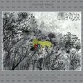 the album cover for The John Lurie National Orchestra - Invention of Animals