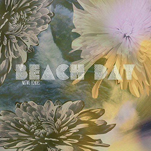 the album cover for Beach Day - Native Echoes [Vinyl]