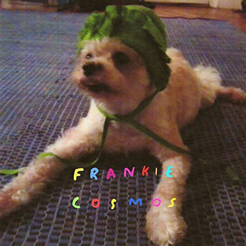 the album cover for Frankie Cosmos - Zentropy [Limited Edition]