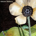 the album cover for Rocco Deluca - Rocco Deluca