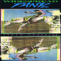 the album cover for Widespread Panic - Space Wrangler [Limited Edition Green & Blue 2LP] - Cancelled