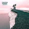the album cover for Calyx & Teebee - Fabriclive 76