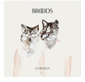 the album cover for Broods - Evergreen