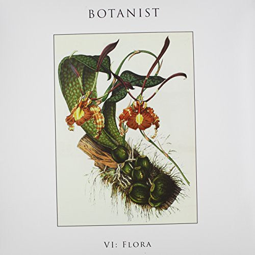 the album cover for Botanist - VI: Flora