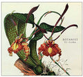 the album cover for Botanist - VI: Flora