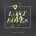 the album cover for Minus The Bear - Lost Loves [Vinyl]