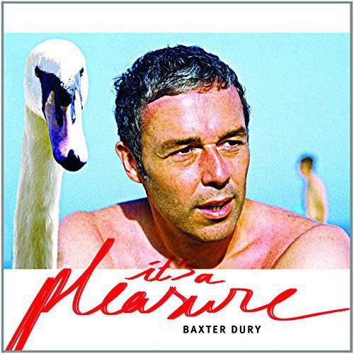 the album cover for Baxter Dury - It's a Pleasure