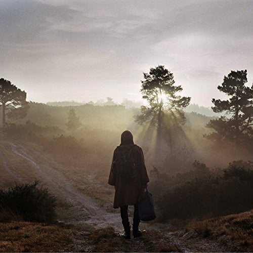 the album cover for Esben and the Witch - A New Nature