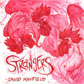 the album cover for David Mayfield - Strangers