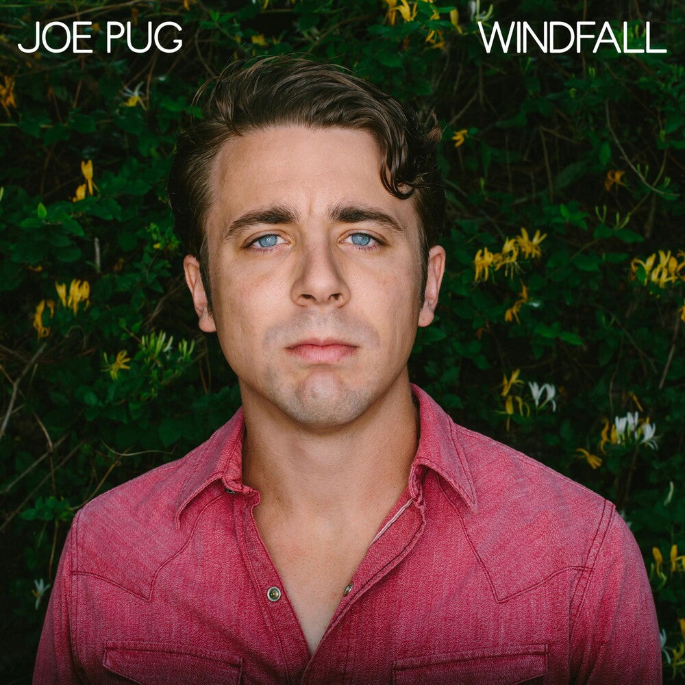 the album cover for Joe Pug - Windfall