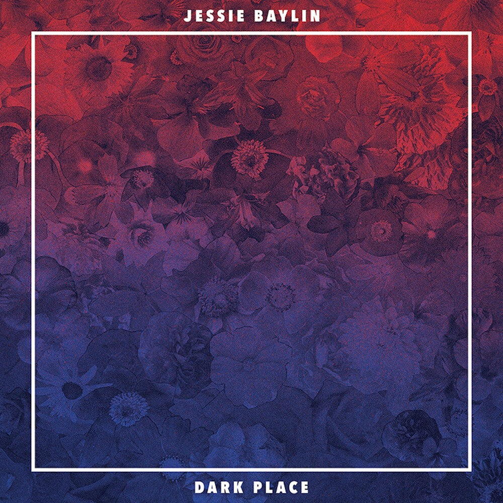 the album cover for Jessie Baylin - Dark Place