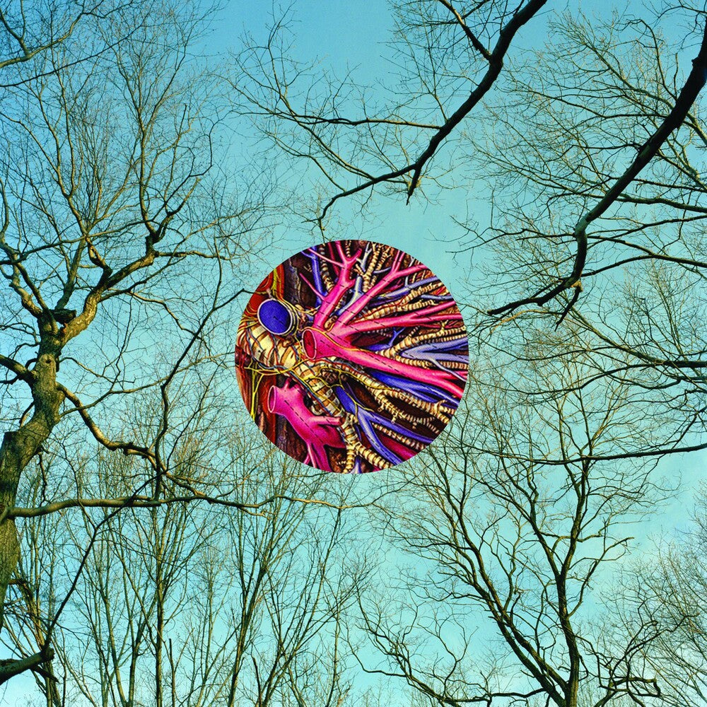 the album cover for They Might Be Giants - Glean