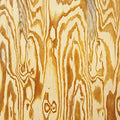 the album cover for Mazes - Wooden Aquarium