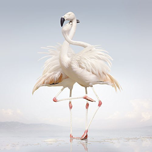the album cover for Rustie - Green Language [Vinyl]