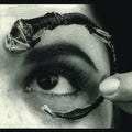 the album cover for Mr. Bungle - Disco Volante