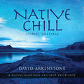 the album cover for David Arkenstone - Native Chill: Spirits Calling a Native American