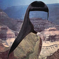 the album cover for Fantome - It All Makes Sense